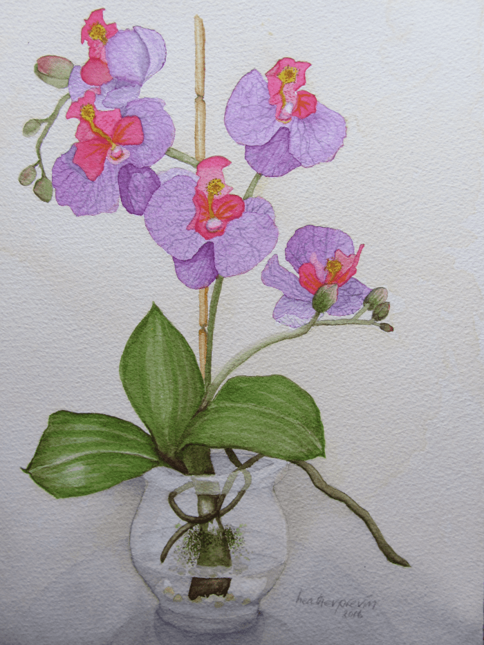 352F1BCF-0997-460D-BB8A-62251C5B5909