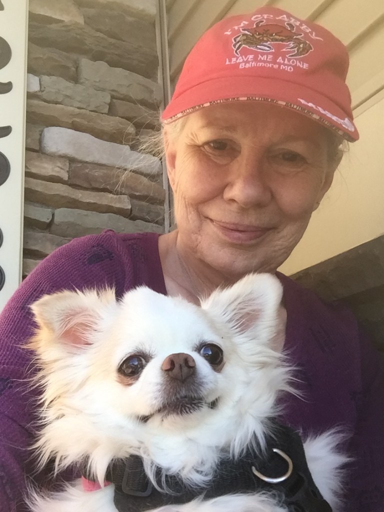 7CDCA847-83BC-418A-B50E-75404E3A2C06